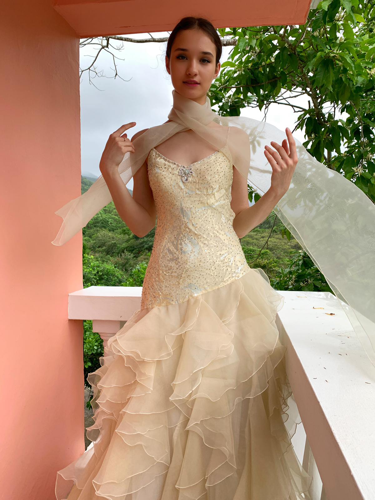 Cream & Pale Blue Beaded Ball Gown