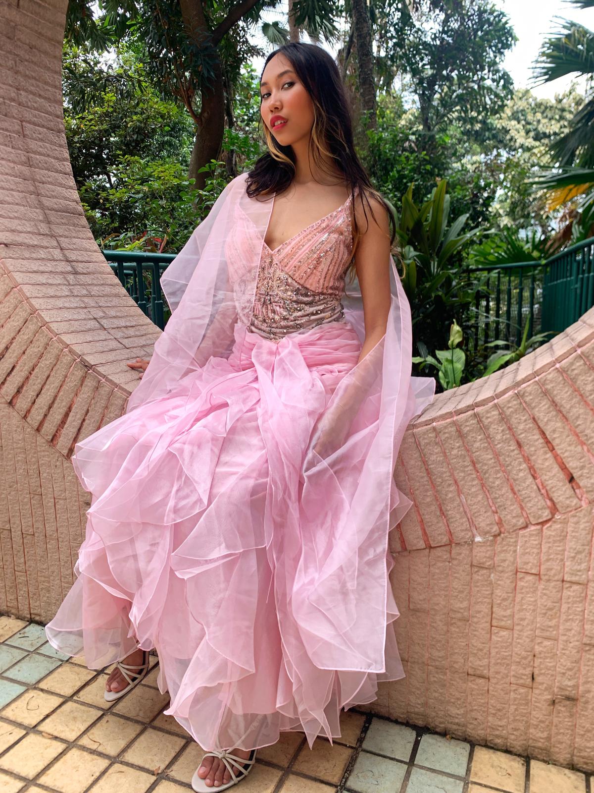 Ballet Pink Tulle Gown
