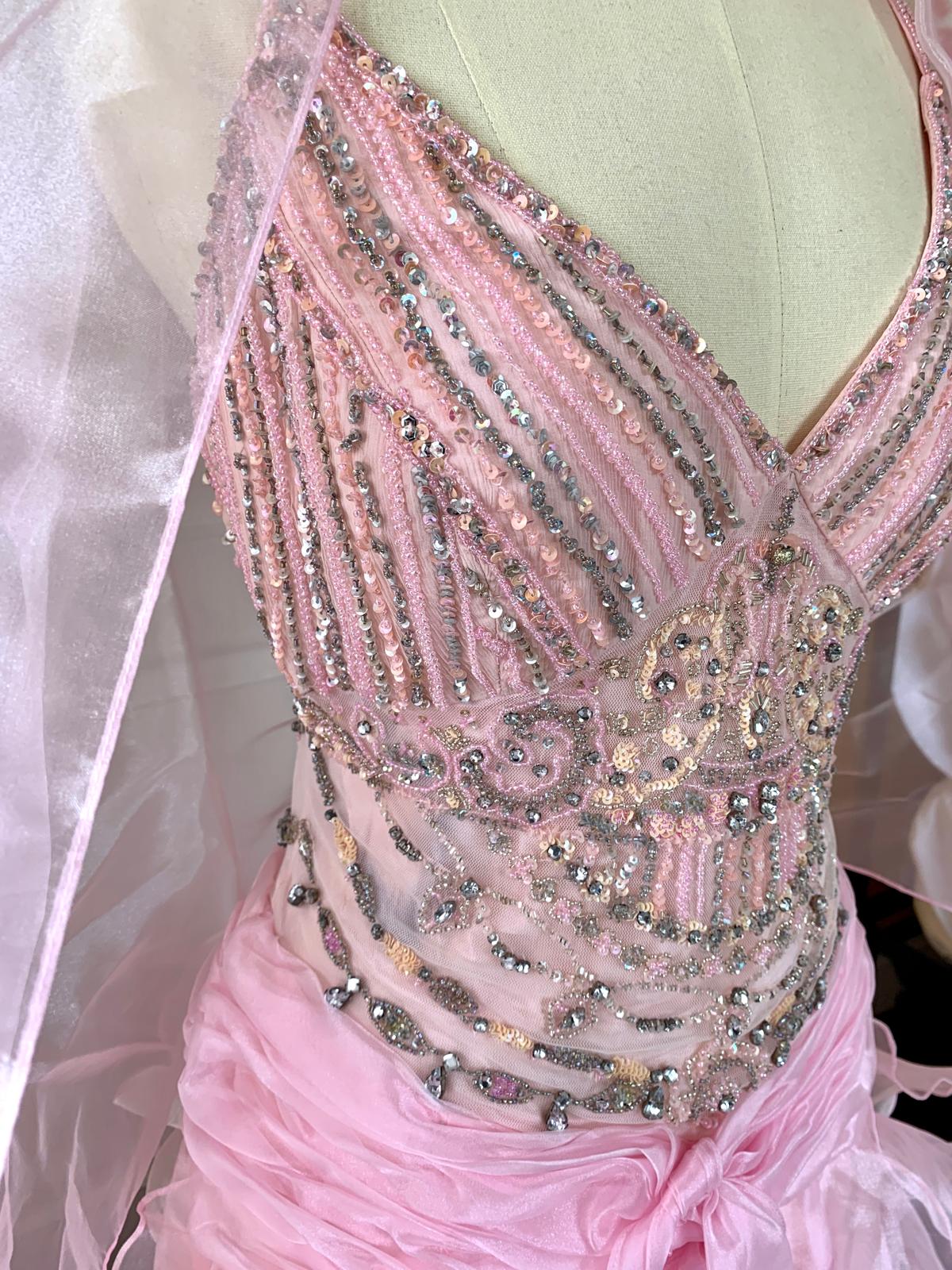 Ballet Pink Tulle Gown