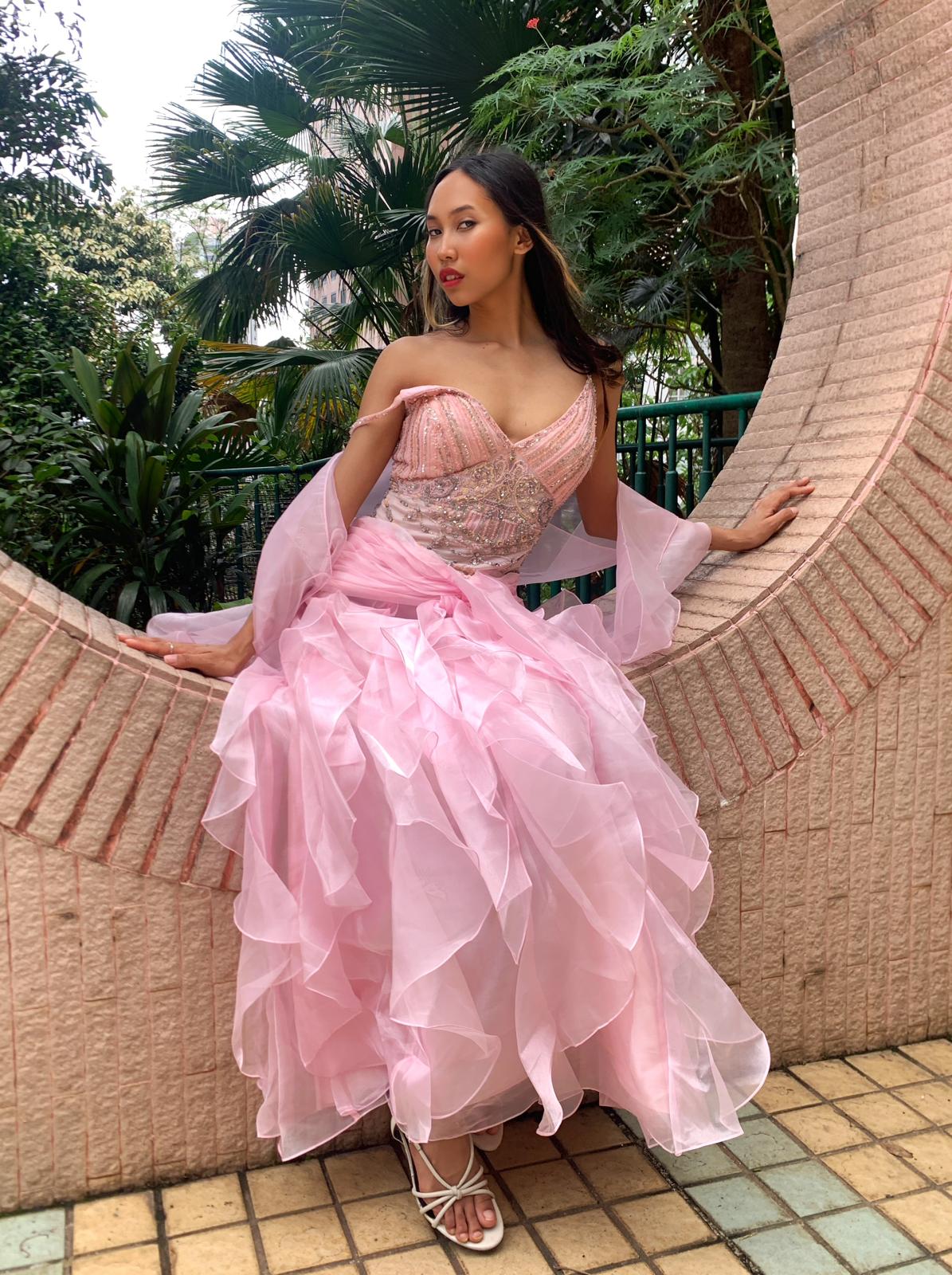 Ballet Pink Tulle Gown