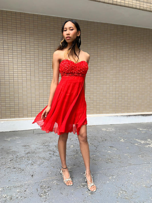 Roses Are Red Flared Mini Dress