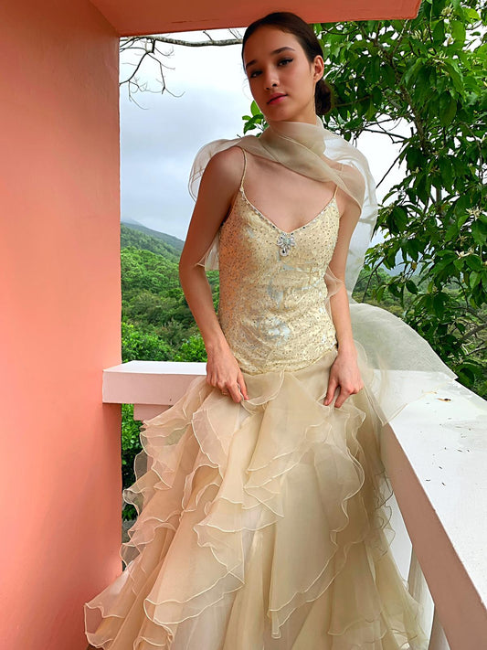 Cream & Pale Blue Beaded Ball Gown